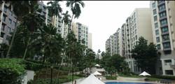 Signature Park (D21), Condominium #181830092